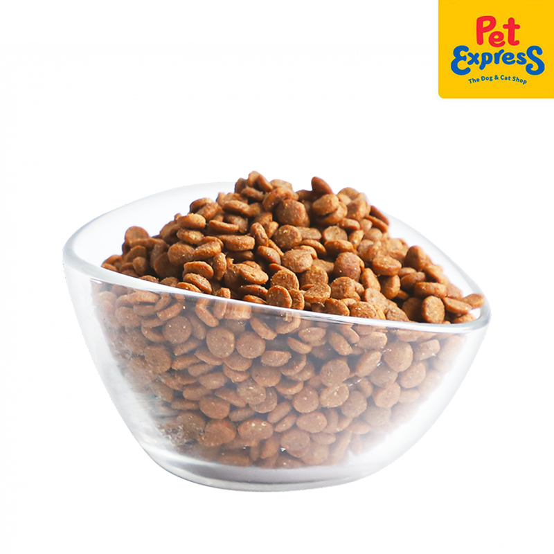 Kit Cat Pick of the Ocean Urinary Care Dry Cat Food