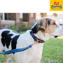 EzyDog Double Up Dog Collar Small Denim