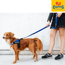 EzyDog Zero Shock Dog Leash 48 inches Denim