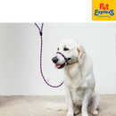 EzyDog Luca Lite Rope Dog Leash Orange