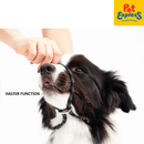 EzyDog Luca Lite Rope Dog Leash Orange