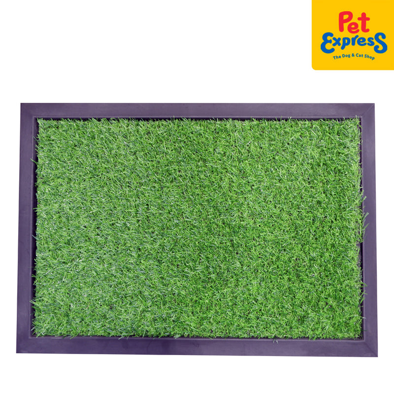 Pet Potty Grass Trainer