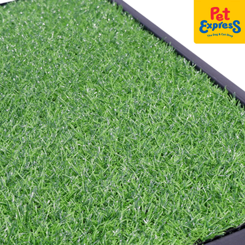 Pet Potty Grass Trainer