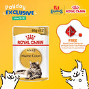 Royal Canin Feline Breed Nutrition Adult Maine Coon Wet Cat Food 85g (12 pouches)