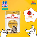 Royal Canin Feline Breed Nutrition Adult Maine Coon Wet Cat Food 85g (12 pouches)