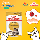 Royal Canin Feline Breed Nutrition Adult Maine Coon Wet Cat Food 85g (12 pouches)