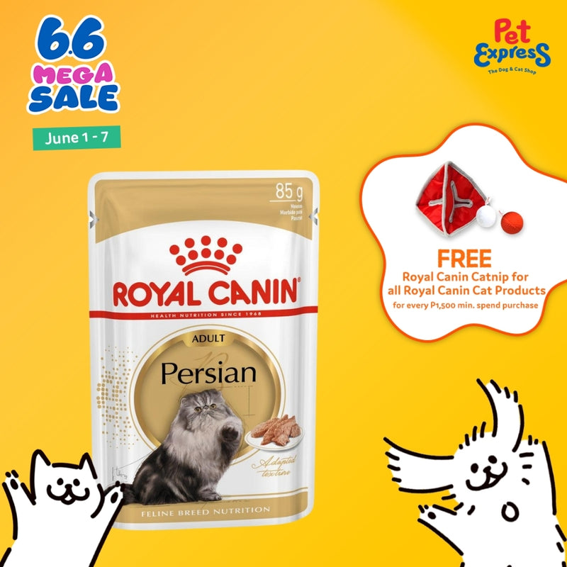 Royal Canin Feline Breed Nutrition Adult Persian Wet Cat Food 85g (12 – Pet  Express