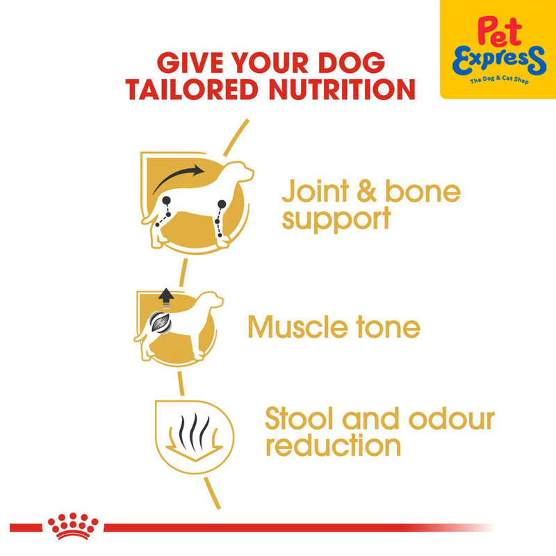 Royal Canin Breed Health Nutrition Adult Dachshund Dry Dog Food 500g