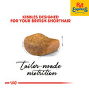 Royal Canin Feline Breed Nutrition Adult British Shorthair Dry Cat Food 2kg