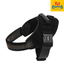 Zee.Dog Gotham Fly Dog Harness Size 2