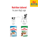 Royal Canin Size Health Nutrition Adult Mini Wet Dog Food 85g (12 pouches)