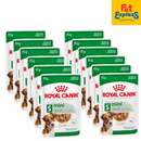 Royal Canin Size Health Nutrition Adult Mini Wet Dog Food 85g (12 pouches)