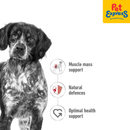 Royal Canin Size Health Nutrition Adult Medium Wet Dog Food 140g (10 pouches)