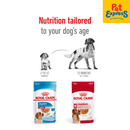 Royal Canin Size Health Nutrition Adult Medium Wet Dog Food 140g (10 pouches)