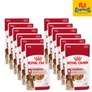 Royal Canin Size Health Nutrition Adult Medium Wet Dog Food 140g (10 pouches)