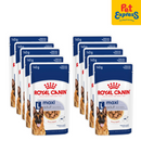 Royal Canin Size Health Nutrition Adult Maxi Wet Dog Food 140g (10 pouches)
