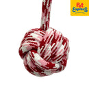 Doggo Wrecking Ball Dog Toy Large Pink