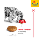 Royal Canin Size Health Nutrition Adult Medium Dry Dog Food 1kg