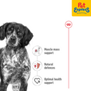 Royal Canin Size Health Nutrition Adult Medium Dry Dog Food 1kg