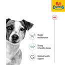Royal Canin Size Health Nutrition Adult Mini Dry Dog Food 800g
