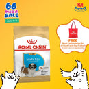 Royal Canin Breed Health Nutrition Puppy Shih Tzu Dry Dog Food 500g
