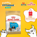Royal Canin Breed Health Nutrition Puppy Shih Tzu Dry Dog Food 500g