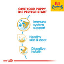 Royal Canin Breed Health Nutrition Puppy Shih Tzu Dry Dog Food 500g
