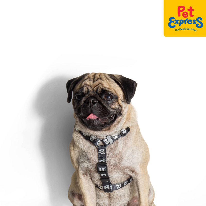 Zee.Dog Skull 2.0 H-Harness Large
