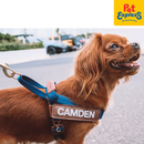 EzyDog Express Dog Harness Large Denim