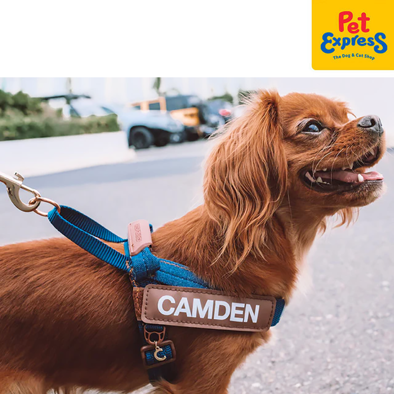 EzyDog Express Dog Harness Large Denim