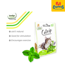 Dentalight Natural Catnip 15g