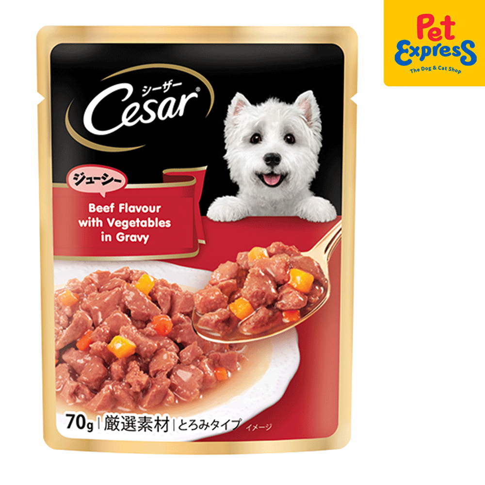 Cesar Beef with Vegetables in Gravy Wet Dog Food 70g (16 pouches) – Pet ...