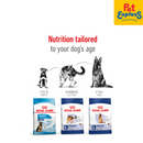 Royal Canin Size Health Nutrition Senior Maxi 5+ Dry Dog Food 4kg