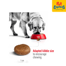Royal Canin Size Health Nutrition Senior Maxi 5+ Dry Dog Food 4kg