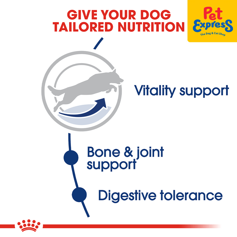 Royal Canin Size Health Nutrition Senior Maxi 5+ Dry Dog Food 4kg