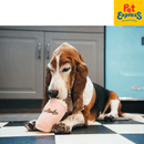 Pet Play American Classic Milkshake Plush Dog Toy