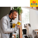 Pet Play Hollywoof Collection Hound Brew Plush Dog Toy