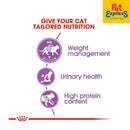 Royal Canin Feline Health Nutrition Adult Sterilized 37 Dry Cat Food 400g