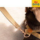 EzyDog Road Runner Dog Leash Corduroy