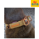 EzyDog Double Up Dog Collar Small Corduroy