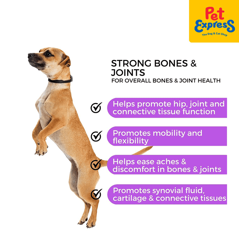 Pet Logic Strong Bones and Joints Pet Supplement 240g