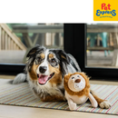 Pet Play Leonard the Lion Plush Dog Toy