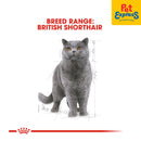 Royal Canin Feline Breed Nutrition Adult British Shorthair Wet Cat Food 85g (12 pouches)