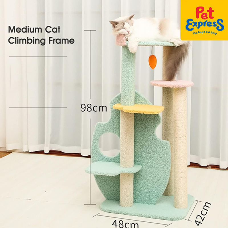 Approved Cat Scratch Post Blue 001 – Pet Express
