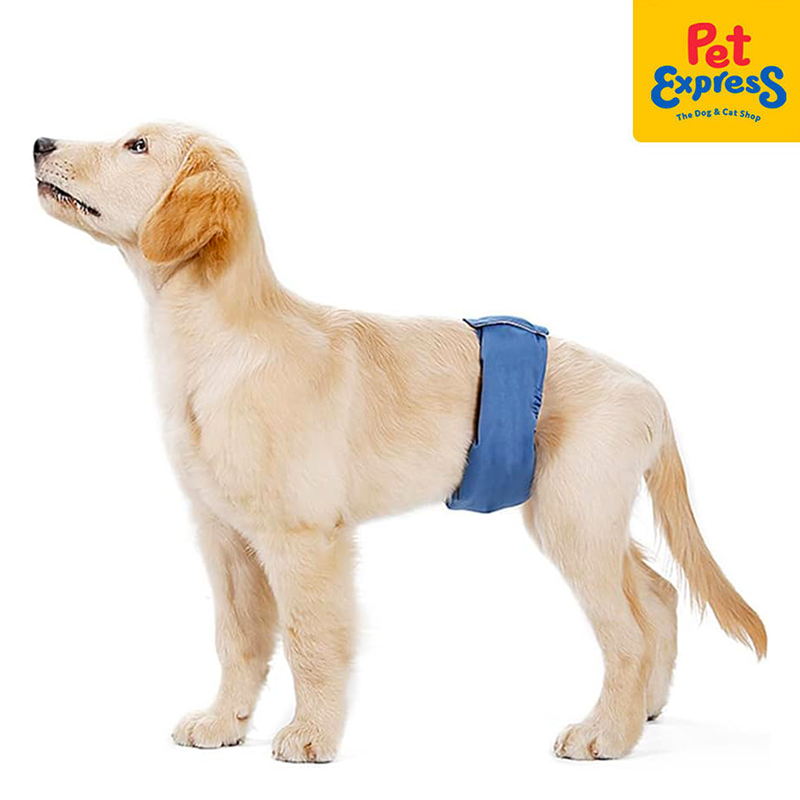 Extra large male dog wraps hotsell