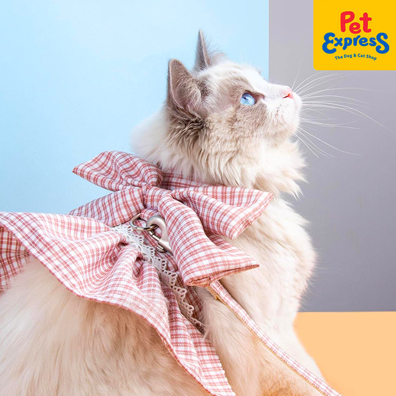 Approved Ribbon Dress 2 in 1 Cat Harness and Leash 1.5
