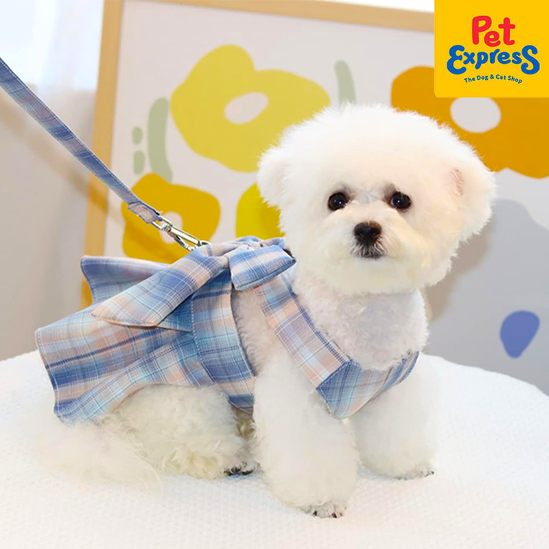 Approved Dress Harness Double Extra Large