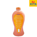 The Fur Life Anti Tick and Flea 3-in-1 Pet Shampoo, Conditioner and Treatment 1L