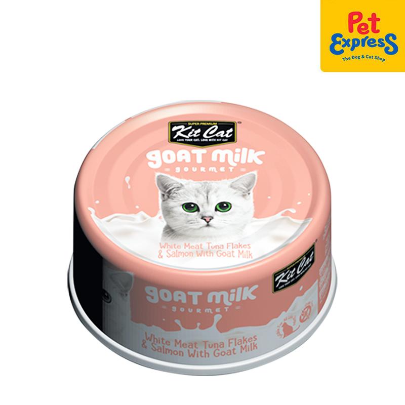 Canned kitten food outlet