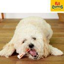 Petstages Beyond Bone Dog Toy Extra Small